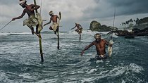2 Day Tour to Galle & Udawalawe from Colombo