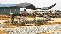 Fishing Village & Mangrove Tour Experince at Negombo (Starting from Colombo)