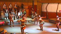 Lesedi Cultural Village and Lion Park Day Tour from Johannesburg