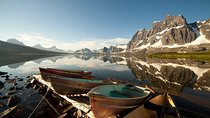 Jasper to Lake Louise One-Way Tour