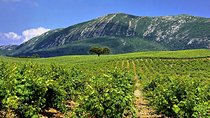 Arrabida Natural Park Full-Day Private Tour from Lisbon