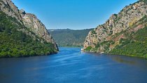 Full-Day Bird Watching Private Tour from Lisbon with Lunch