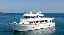 Sea Star Coral Express Cruise from Paphos