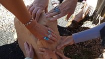 Private 4-Hour Sedona Medicine Wheel and Vortex Journey