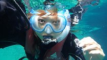 Small-Group Mesoamerican Barrier Reef Snorkeling in Puerto Morelos