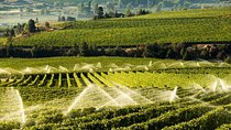 West Kelowna Wine Tour - Classic - 4 Wineries