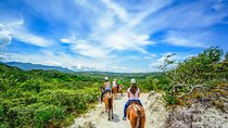 Vida Aventura Ranch Experience