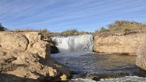 Day tour to Fayoum oasis from Cairo or Giza