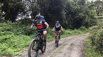 1 day Kilimanjaro Cycle Shira Route
