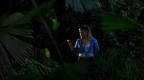 Guided Night Hike Arenal Mundo Aventura