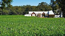 Upper Reach Winery: Swan Valley Winery and Vineyard Tour