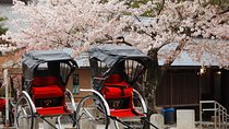 Private Custom Tour: Kyoto in One Day