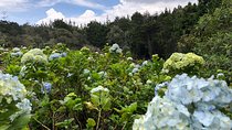 Amazing Arvi natural reserve private tour