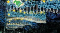 Combo Tour: Metro System, Christmas Lights and Food Tour of Medellin