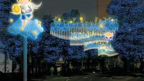 Combo Tour: Zip lines Adventure and Christmas Lights Tour of Medellin