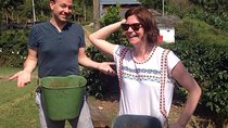 Private Full-Day Coffee Tour to Palmitas farm near Medellín