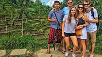 Bali Private Shore Excursion: Explore Ubud Culture with Private Car Charter