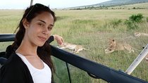 8 Days Safari to Amboseli, Great Rift Valley Lakes & Masai Mara