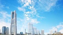 Private Arrival Transfer : Haneda Airport to Yokohama City