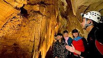  Waitomo Caves Private Driver for Tour