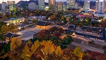 Moonlight Stroll at Seoul Palace