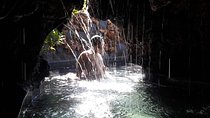Ubud Hot Springs and Waterfall Private Guided Tour 