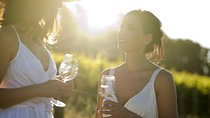 Hunter Valley Wine Tour from Sydney with Lunch and 3 Cellar Door Tastings
