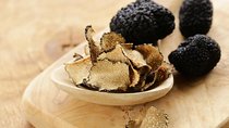 Tuscan Walk and Hunt for Truffles