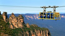 PRIVATE Blue Mountains tour & Koalas, Kangaroos, Cruise plus more