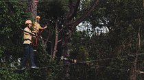 Adventure Park Il Pineto