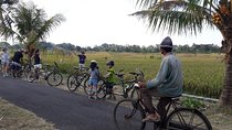 Kaba Kaba Reason for Harmony Cycling