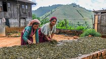6-Day Northern Shan State and Mandalay Tour from Yangon