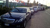 Private transfer from Naples with stop in Pompeii plus professional tour guide