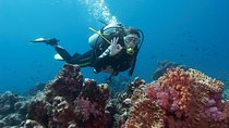 Scuba Diving from Marmaris Area