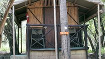 5 Day Budget Kruger National Park Safari