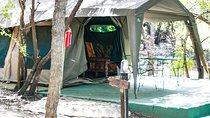 6 Day Budget Kruger National Park Safari