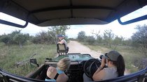 6 Day Classic Kruger National Park Safari from Johannesburg 