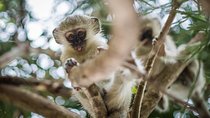 3 Day Classic Kruger National Park Safari