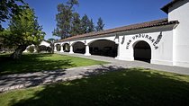 Undurraga Wine Tasting Tour from Santiago