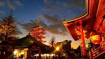 Private tour Tokyo - The Harmony of Modernity and Tradition