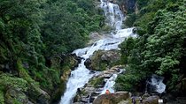 2 Day Tour To Sinharaja Rain Forest & Udawalawa From Colombo