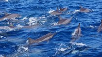 1 Night Fishing Village Experience In Kalpitiya From Negombo
