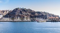 La Gomera Day Trip from Tenerife