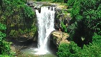 Bali Hindu temple, Rice terrace, Waterfall -All Inclusive
