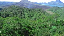 Bali Ubud & Kintamani Volcano Tour -All Inclusive