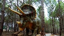 Family Fun Trip to Dino Park and Óbidos - from Lisbon