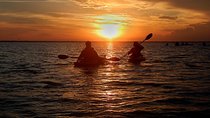Sunset Bioluminescence Tour 