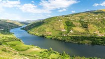 Douro Valley private tour with wine tasting and boat tour
