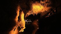 Waitomo & The King Country Exclusive Luxury Day Tour from Auckland