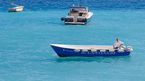 AperitivBoat Nerano the bay of savour